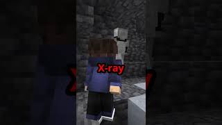 Catching a Minecraft Xray Hacker [upl. by Gamages]