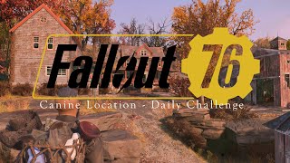 Canine Locations for Daily Challenge  Fallout 76 [upl. by Clementina711]