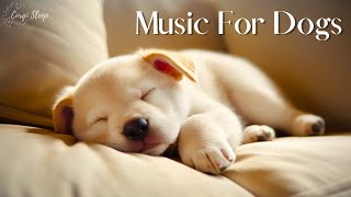 1 Hours Of Relaxing Music For Anxious Dogs 🐶 The Best AntiAnxiety Music For Dogs [upl. by Yerdua]