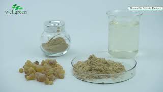 Boswellia Serrata Extract [upl. by Vedetta]