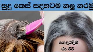 සුදු කෙස් පටස් ගාල ඩයි කරමු home made hair dye in 30 minutes [upl. by Junie831]