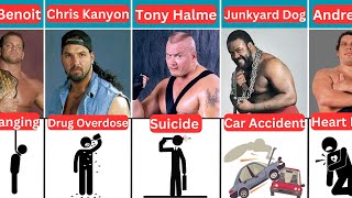 How Famous WWE Wrestlers Died 2024 [upl. by Vadim771]