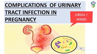 URINARY TRACT INFECTION PART2COMPLICATIONS OF UTI IN PREGNANCYY IT IS IMPORTANT TO DIAGNOSE n CURE [upl. by Karine74]