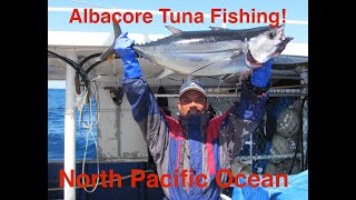 Albacore Tuna Fishing Pacific Ocean [upl. by Brigitta]