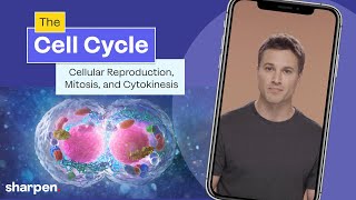 The Cell Cycle Cellular Reproduction Mitosis amp Cytokinesis Explained  Cell Biology [upl. by Schnorr933]