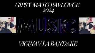 Gipsy mato pavlovce  vicinav la bandake 2024 cover [upl. by Mercado]