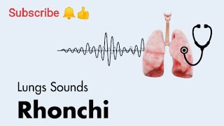 Rhonchi an Abnormal lungs Sound [upl. by Haizek]