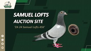 Samuel Lofts Auction Site  ZA 24 Samuel Lofts 456 [upl. by Lanuk4]