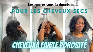 MA ROUTINE CAPILLAIRE CHEVEUX CREPUS SECS  UN WASHDAY POUR CHEVEUX SECS ET PEU POREUX [upl. by Brig32]