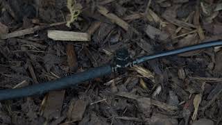 Using a 4mm Micro Barbed Valve in an Irrigation System [upl. by Ahtis218]