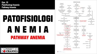 Patofisiologi Anemia Pathway Anemia I File Dapat Diakses Di Deskripsi [upl. by Anela585]