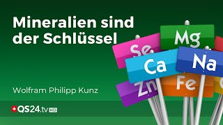 Schüssler Salz  Die Mineralien sind der Schlüssel  nach Dr Schüssler  QS24 18032020 [upl. by Maxantia]