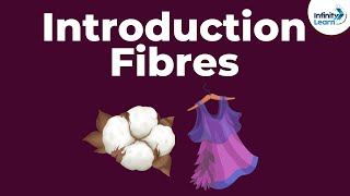 Fibres to Fabrics  Introduction  Types of Fibres  Dont Memorise [upl. by Broucek723]