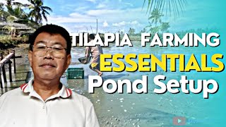 TILAPIA FARMING ESSENTIALSWEEDS CUTTING FENCING PONDS AND CATCHING TILAPIA [upl. by Jaunita]