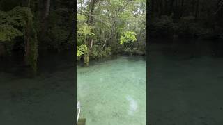 Ponce De Leon Springs Florida [upl. by Aivin792]