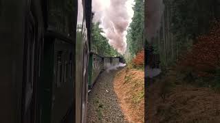 Die FICHTELBERGBAHN im Erzgebirge [upl. by Stearn]