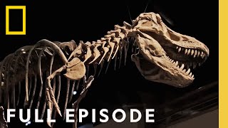 Secrets of the Dinosaurs The Real Jurassic Americas Full Episode  Drain the Oceans [upl. by Booth]