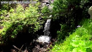 Paseo por el Barranco de Los Cernícalos  Telde con el Cabildo de Gran Canaria [upl. by Chemar]