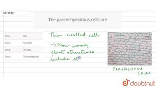 The parenchymatous cells ar [upl. by Hannover]