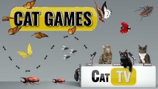 CAT Games  Ultimate Cat TV Bugs and Butterflies Compilation Vol 4 🪲 🐞🦋🦗🐜  Videos For Cats to Watch [upl. by Annoyi181]