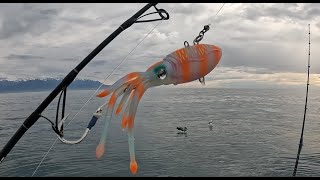 Kaikoura fishing trip [upl. by Juback]