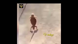 lizard running on 2 legs  Fear of snake [upl. by Krute384]