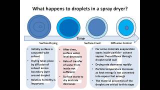 Particle Engineering using Spray Drying and Fluid Beds [upl. by Hurlow595]