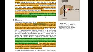 Antimicrobial Drugs pharmacology Part 2 [upl. by Pearl546]