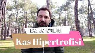 Kas Hipertrofisi Nasıl Gerçekleşir [upl. by Nlyak]