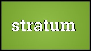 Stratum Meaning [upl. by Adey]