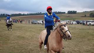 Nkandla Rural Horse Racing [upl. by Annaid]