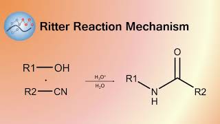 Ritter Reaction Mechanism  Organic Chemistry [upl. by Gnaht]