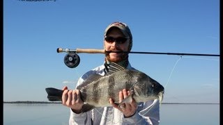 Mosquito Lagoon Fly Fishing Guide Redfish Trout Black Drum and Tarpon [upl. by Oilegor]