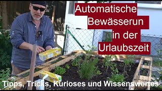 ✅Garten automatisch bewässern während der Urlaubszeit  Selbstbewässerung Pflanzen Gemüse im Urlaub [upl. by Zetroc]