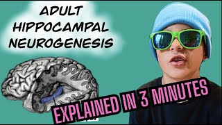 Adult Hippocampal Neurogenesis Explained in 3 Minutes [upl. by Ninahs]