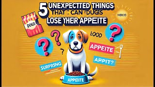 5 Unexpected Things That Can Cause Dogs To Lose Their Appetite [upl. by Lenej426]