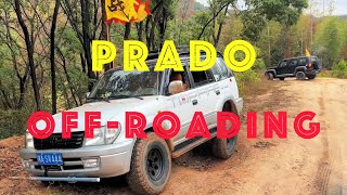 Prado offroading [upl. by Margy]