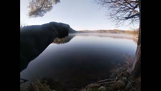 17 Oct 24 More Autumn Grizzly Therapy in the Madawaska Valley [upl. by Farica]