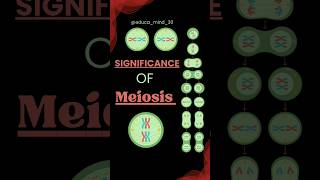 Significance of Meiosis class 11 mitosis class11cellcycleandcelldivision biologydiagrams neet [upl. by Steck240]