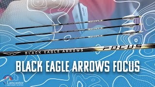 Black Eagle Arrows Focus [upl. by Kenaz]