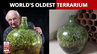 All You Need To Know About The Worlds Oldest Terrarium [upl. by Lion688]