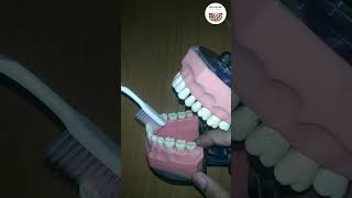 How to clean teeth  Dr Rajni  learn to do brush properly modified bass technique [upl. by Jamill]