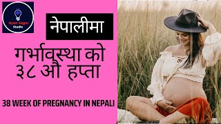 38 Week Pregnancy in Nepali  गर्भावस्था को ३८ हप्ता  9 Month Pregnancy  3rd Trimester Pregnancy [upl. by Hamer]