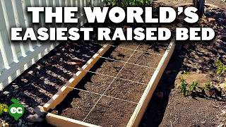 How to Build Cheap DIY Raised Garden Beds In Under 30 Minutes [upl. by Ehctav]