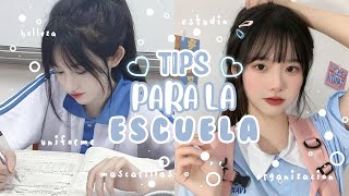 37 TIPS PARA LA ESCUELA QUE DEBES SABER ❥ belleza organización uniforme estudio peinados🍥 [upl. by Bernadette]