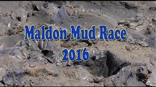 Maldon Mud Race 2016 [upl. by Ayanat]