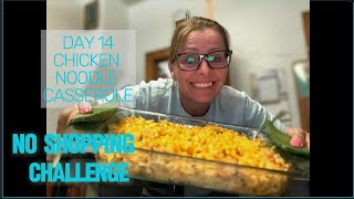 Day 14 No Shopping Challenge Easy 6Ingredient Chicken Noodle Casserole [upl. by Boarer729]