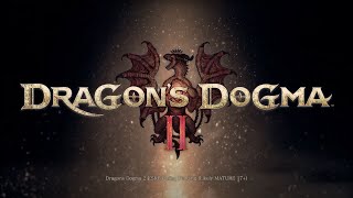 Dragons Dogma 2  Blind  12  Missing Person to be Found Through the Power of YEET [upl. by Deina]