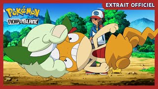 Baggiguane et Doudouvet  Pokémon  Noir amp Blanc  Extrait officiel [upl. by Rebecca17]