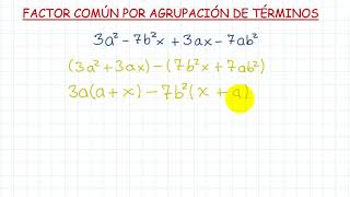 Factor Común por agrupación de términos [upl. by Lira372]